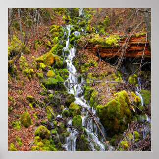Póster Cascada de manantial de montaña.....