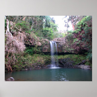 Póster Cascada de Maui