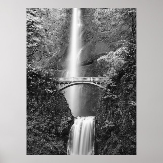 Póster Cascada de Multnomah Falls con puente Benson (Frente)