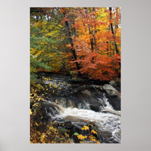 Póster Cascada de otoño