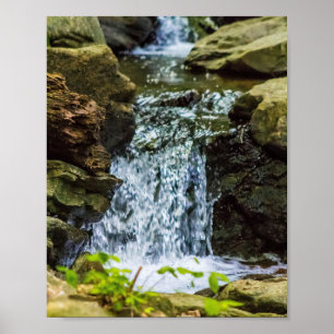 Póster Cascada del Bosque Musgoso