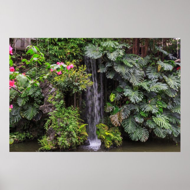 Póster Cascada del jardín exuberante, China (Frente)