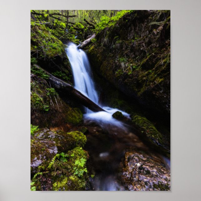 Póster Cascada en bosque encantado (Frente)