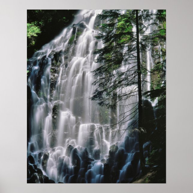 Póster Cascada en bosque, Oregón (Frente)