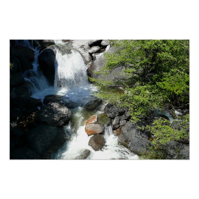 Póster Cascada en el Parque Nacional Yosemite (Anverso)