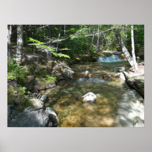 Póster Cascada en el río Pemigewasset III