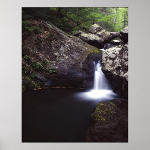Póster Cascada en el río Rosa