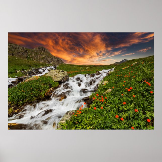 Póster Cascada en las montañas con flores (Frente)