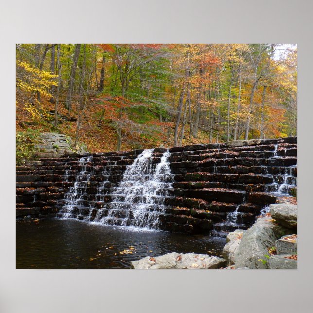 Póster Cascada en Laurel Hill State Park I (Frente)