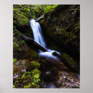Póster Cascada en un bosque encantado