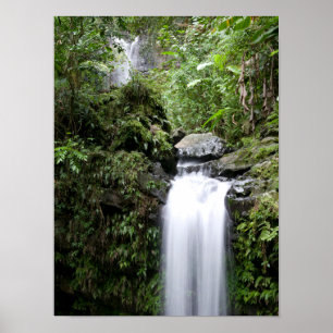 Póster Cascada Juan Diego