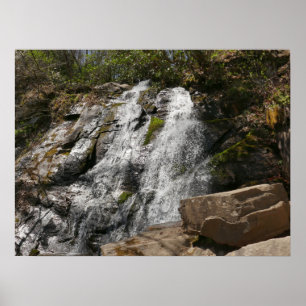 Póster Cascada Juney Whank en Smoky Mountains