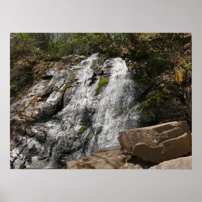 Póster Cascada Juney Whank en Smoky Mountains (Frente)