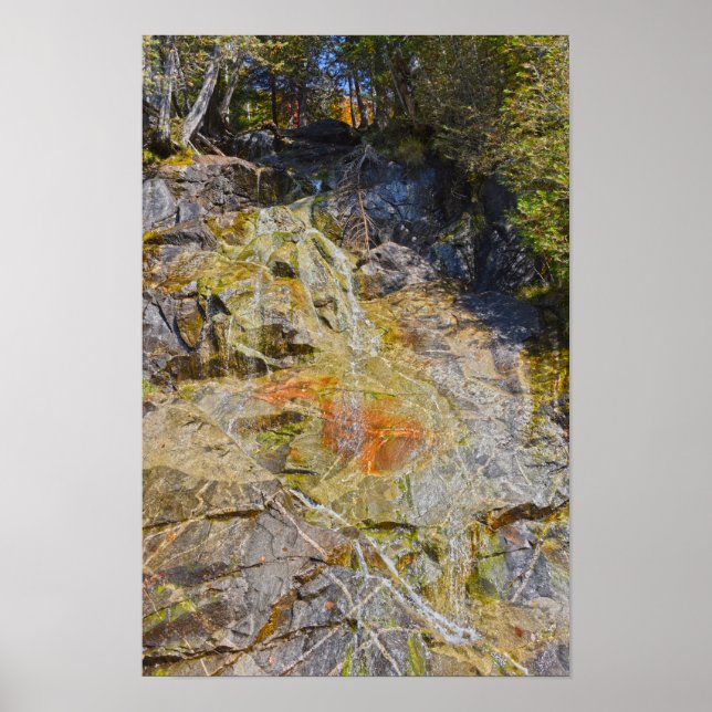 Póster Cascada junto a la carretera del lago Willoughby,  (Frente)