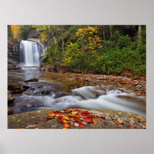 Póster Cascada Looking Glass Bosque Nacional Pisgah