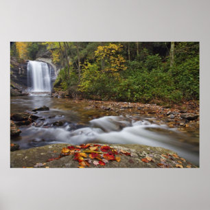 Póster Cascada Looking Glass en el Pisgah National