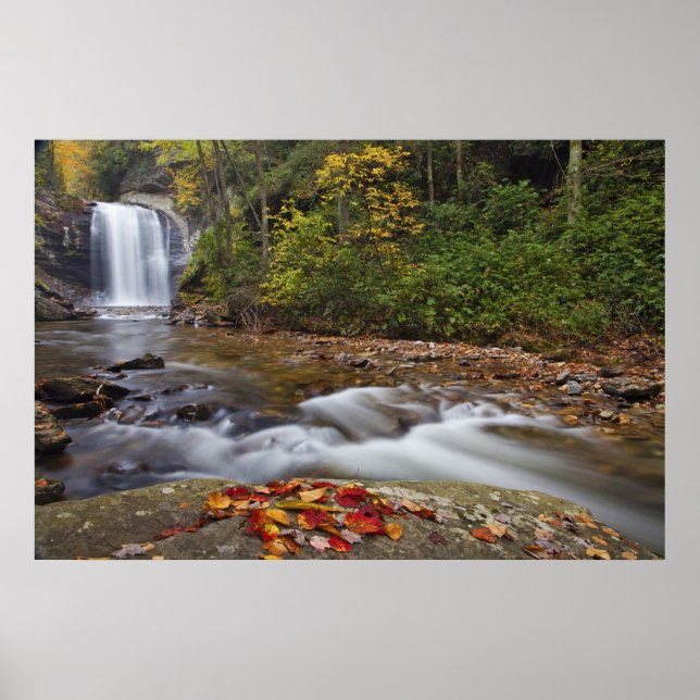 Póster Cascada Looking Glass en el Pisgah National (Frente)