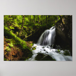 Póster Cascada mágica en un bosque verde encantador