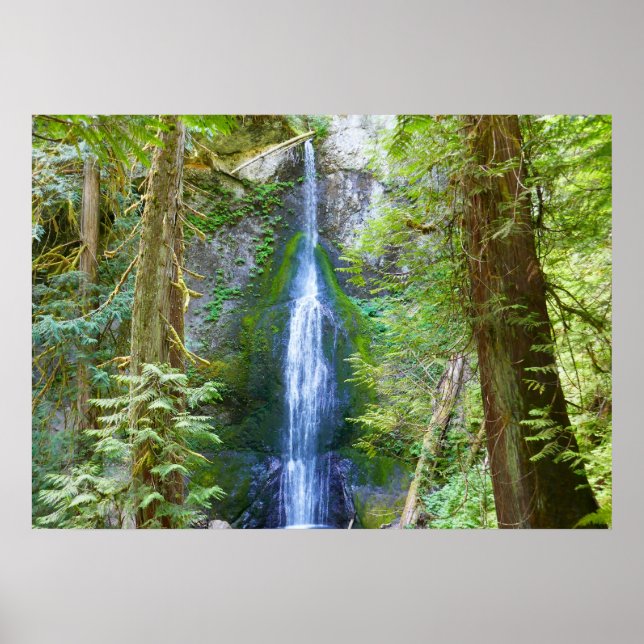 Póster Cascada Marymere I en el Parque Nacional Olímpico (Frente)