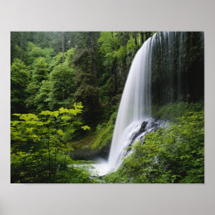 Póster Cascada Middle North, Parque Estatal Silver Falls,