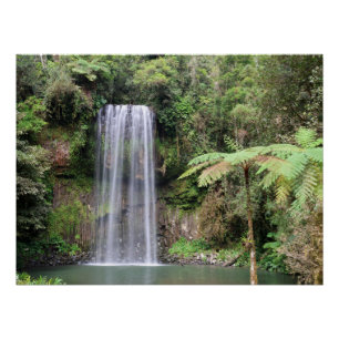 Póster Cascada Millaa Millaa Foto Selva Lluviosa de Queen