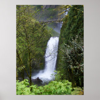Póster Cascada Multnomah