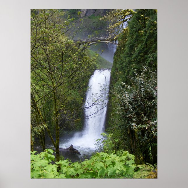 Póster Cascada Multnomah (Frente)