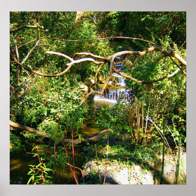 Póster Cascada oculta (Frente)