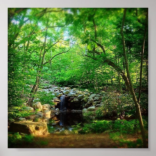 Póster Cascada oculta (Frente)