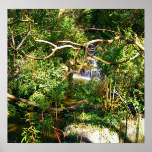 Póster Cascada ocultada