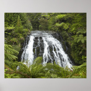 Póster Cascada Owharoa, desfiladero de Karangahake, cerca