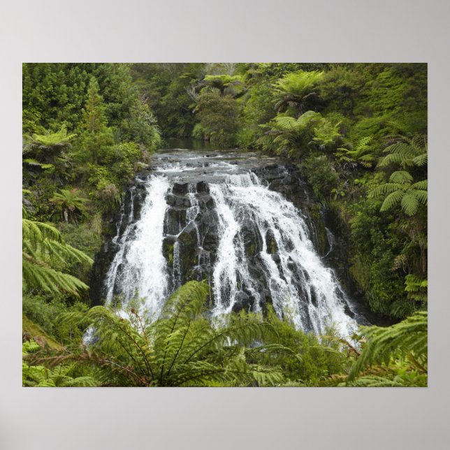 Póster Cascada Owharoa, desfiladero de Karangahake, cerca (Frente)