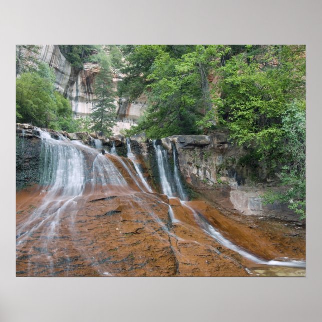 Póster Cascada, Parque Nacional Zion, Utah, EE. UU. (Frente)