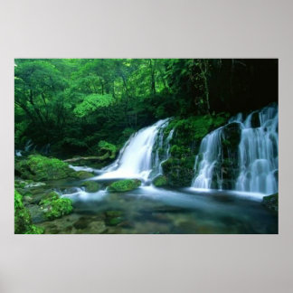 Póster Cascada Tranquila