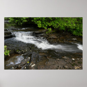 Póster Cascada Tranquila del Bosque