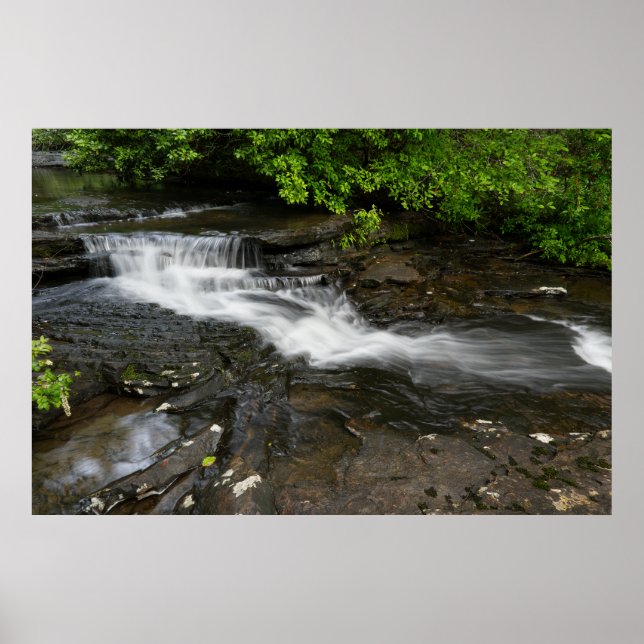 Póster Cascada Tranquila del Bosque (Frente)