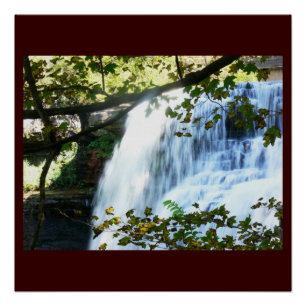Póster Cascada Tropical Verde Naturaleza Personalizar