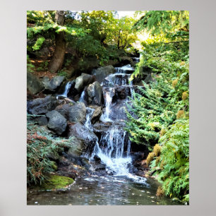 Póster Cascada Van Dusen Jardín Botánico de Vancouver