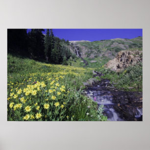 Póster Cascada y flores silvestres en pradera alpina, 2