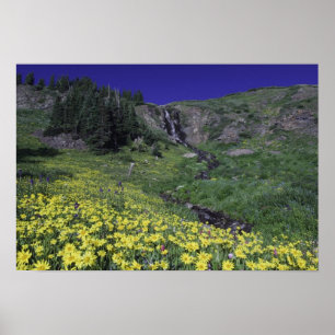 Póster Cascada y flores silvestres en prado alpino, 2