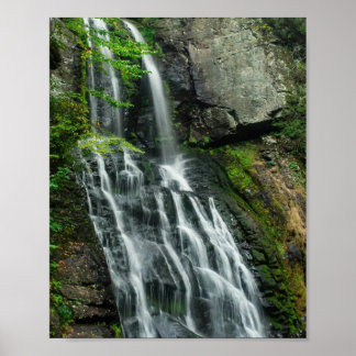 Póster Cascadas Bushkill