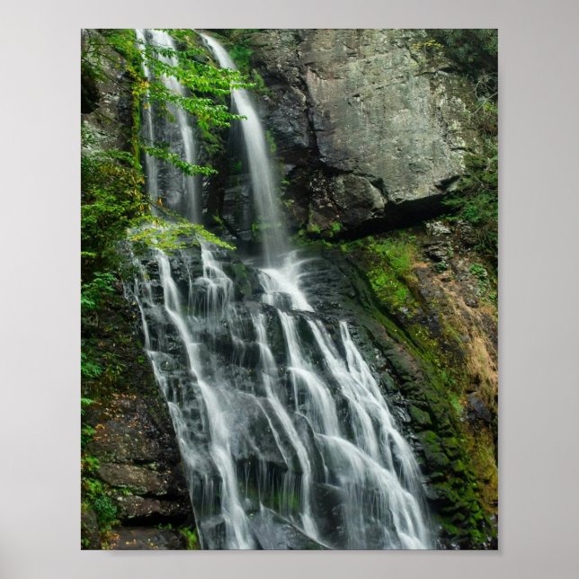 Póster Cascadas Bushkill (Frente)