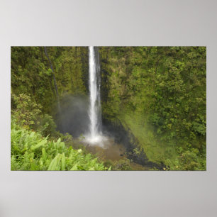 Póster Cascadas de Akaka, Costa de Hamakua, Isla de Hawai