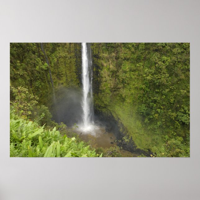 Póster Cascadas de Akaka, Costa de Hamakua, Isla de Hawai (Frente)