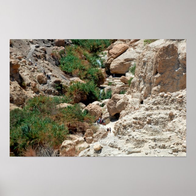 Póster Cascadas de Ein Gedi en el desierto de Judea, Isra (Frente)