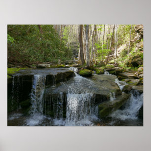 Póster Cascadas de Findlay I