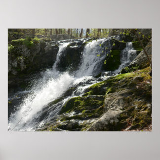 Póster Cascadas de Lands Run