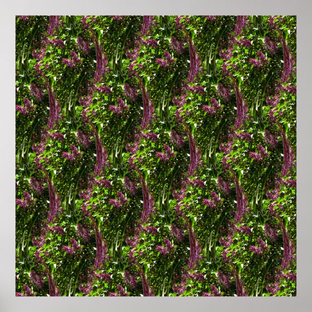 Póster Cascadas de Lilac...... (Frente)