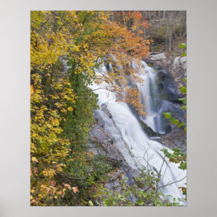 Póster Cascadas del río Bald