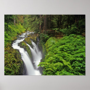 Póster Cascadas Sol Duc en el Parque Nacional Olímpico en